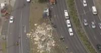 Грузовик с сотнями живых кур потерпел крушение на автомагистрали в Австралии. (Видео) 0
