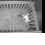 Момент падения паука в кроватку с ребёнком, попал на видеокамеру в США