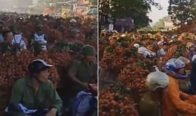 Океан личи: вьетнамские торговцы штурмуют границу с Китаем, чтобы продать свой товар в соседнем государстве (Видео)