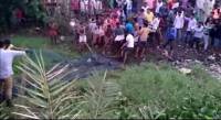 Толпа жителей индийской деревни 8 часов ловила крокодила, напавшего на свиней (Видео)