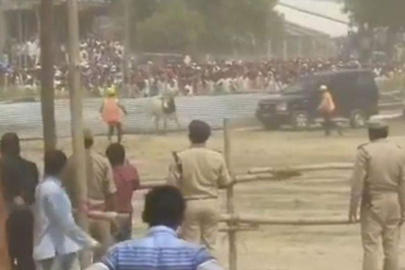 Разъярённый бык разогнал митингующую толпу на поле в Индии ▶