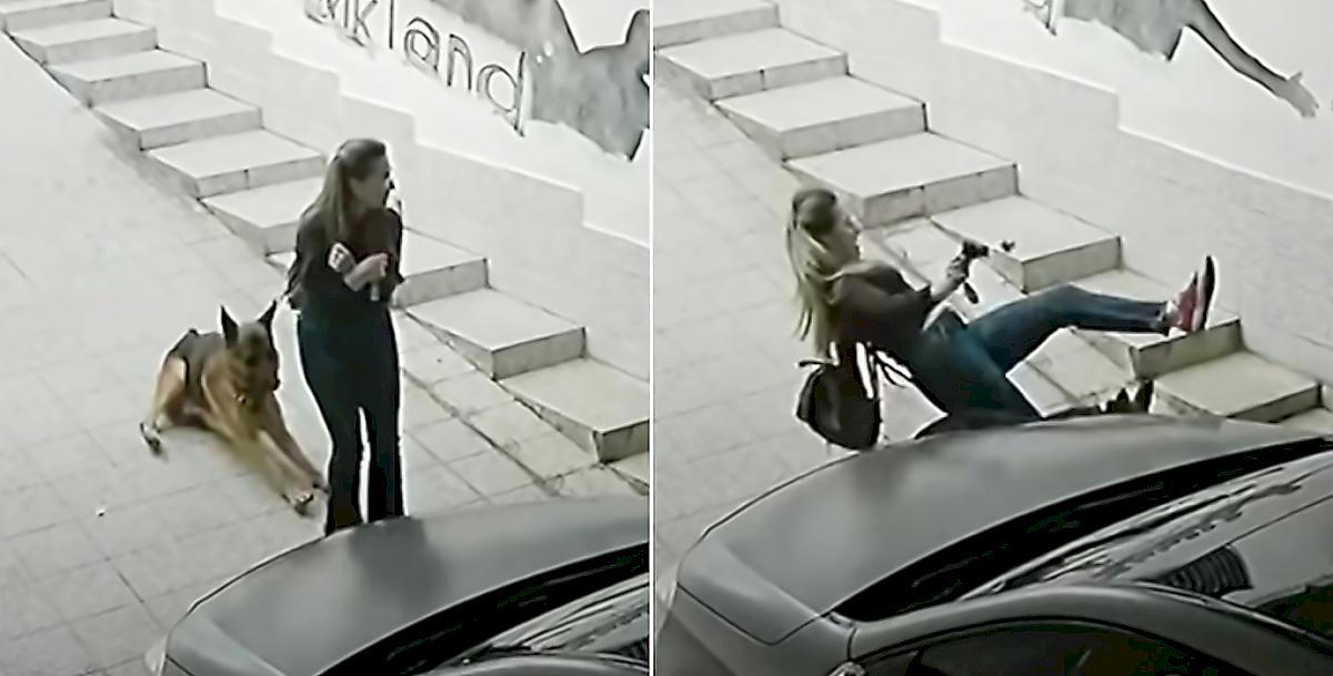 Радостного пса «подвели тормоза» и он сбил с ног девушку, попав на видео в Италии