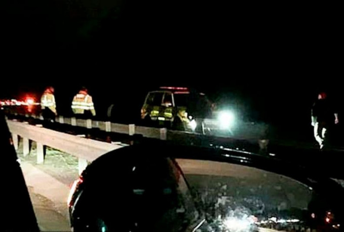 Полицейские, на протяжении часа ловившие беглого быка, создали пробку на автотрассе в Британии (Видео)