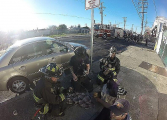 Пожарные спасли трёх щенков и вытащили их из горящего зоомагазина в США 4
