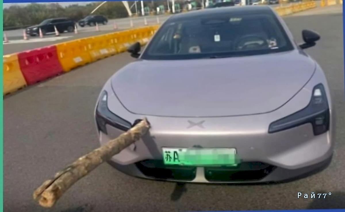 Деревянный кол воткнулся в бампер автомобиля во время движения