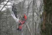 Пилот самолёта совершил вынужденную посадку на деревьях в Британии ▶