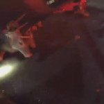 Спасатели лишили рогов оленя, угодившего под автомобиль в США (Видео)