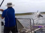 Белая акула вынырнула возле лодки и вывела на эмоции туристов в Австралии