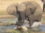 Разъярённая слониха растоптала крокодила на глазах у туристов в Замбии