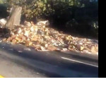13 тонн замороженного фастфуда вывалились из загоревшегося грузовика в Калифорнии ▶