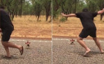 Агрессивная ящерица повергла в бегство австралийского туриста (Видео)