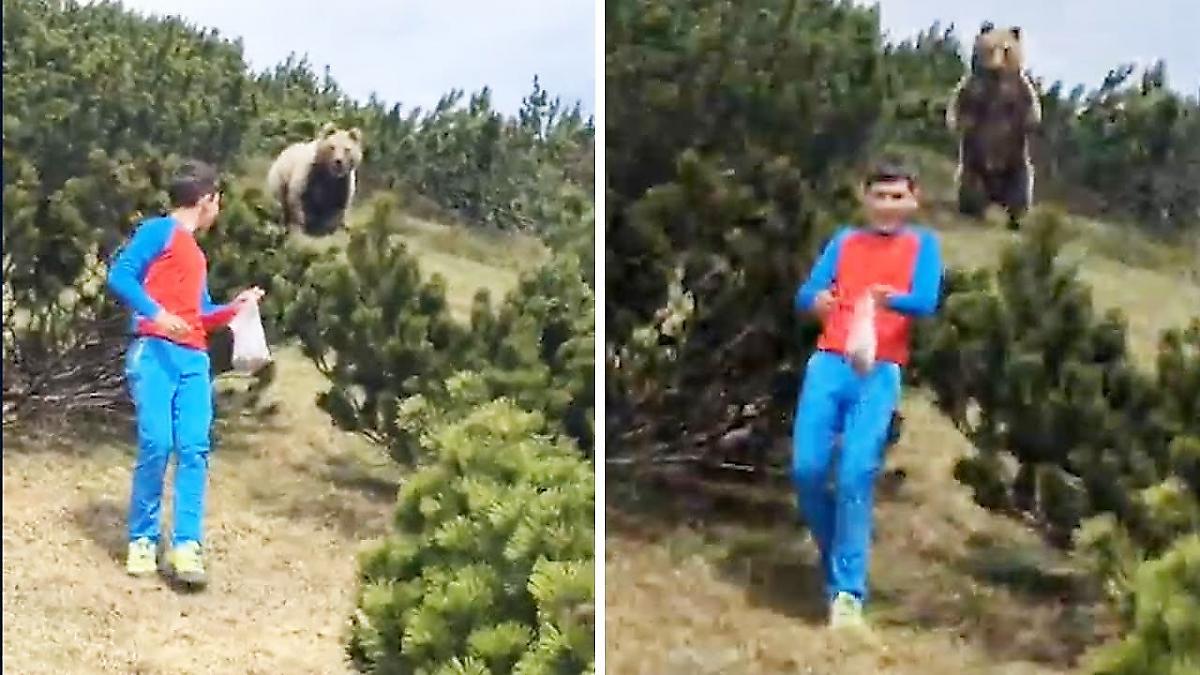 Ребёнок сохранил спокойствие, встретив медведя в итальянском лесу