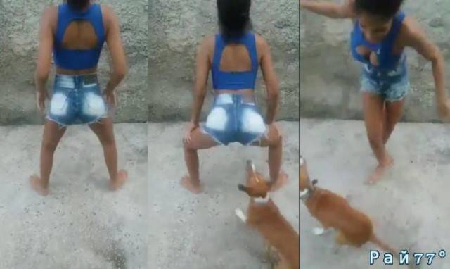 Девушка решила исполнить танец «тверк», но пятая точка танцовщицы стала мишенью для собаки.