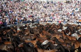 Тысячи испанцев приняли участие в массовой «объездке» диких лошадей в Галисии. (Видео) 29
