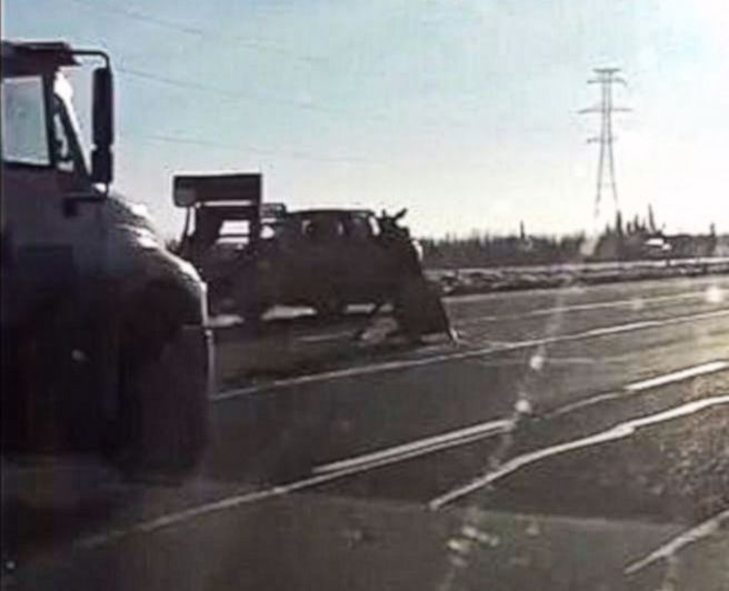 Лось чудом избежал столкновения с двумя автомобилями на канадской магистрали ▶