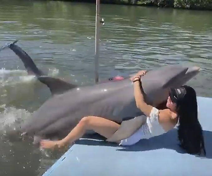 Водоплавающий обитатель кубинского аквапарка продемонстрировал туристке настоящую дельфинью любовь ▶