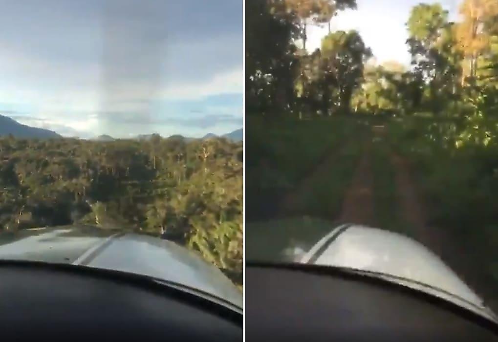 Пилот самолёта совершил ювелирную посадку в лесу