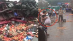 Грузовик с помидорами, на радость местных жителей, перевернулся на китайской автотрассе (Видео)