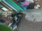 Храбрый щенок предотвратил угон скутера, стоящего возле магазина ▶