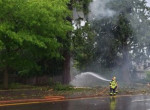 Подбитое молнией дерево, поразило внедорожник в США ▶ 3