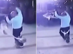 Хозяин собаки насилу уберёг от злющей кошки своего питомца - видео