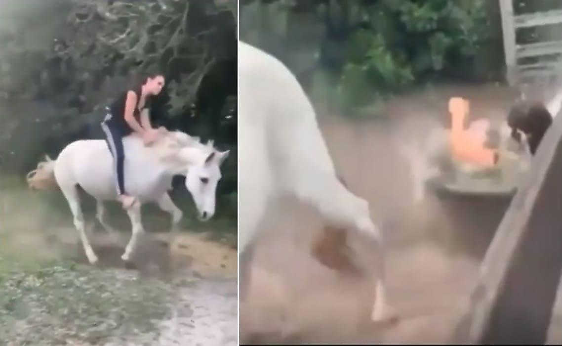 Конь, учуяв лакомство, скинул наездницу в корыто с водой - видео