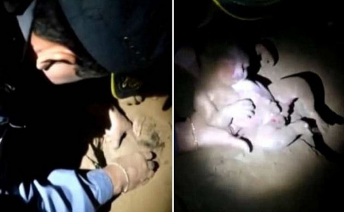 Младенец, ошибочно похороненный, был спасён в Бразилии (Видео)