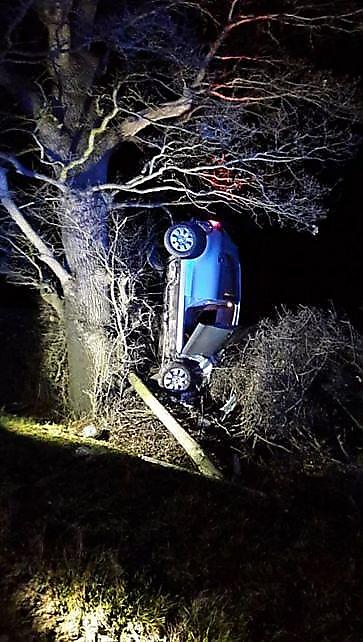 Неадекватный британец, врезавшись в столб, «прислонил» свой автомобиль к дереву