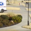 Почтальон неожиданно «катапультировался» из автомобиля в США (Видео)