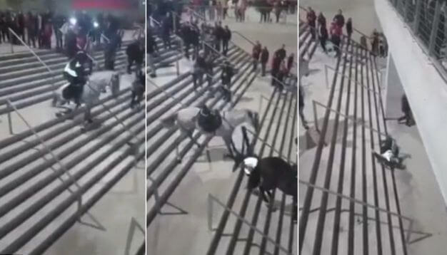 Лошадь не удержала полицейского в седле на лестнице стадиона в Мадриде. (Видео)
