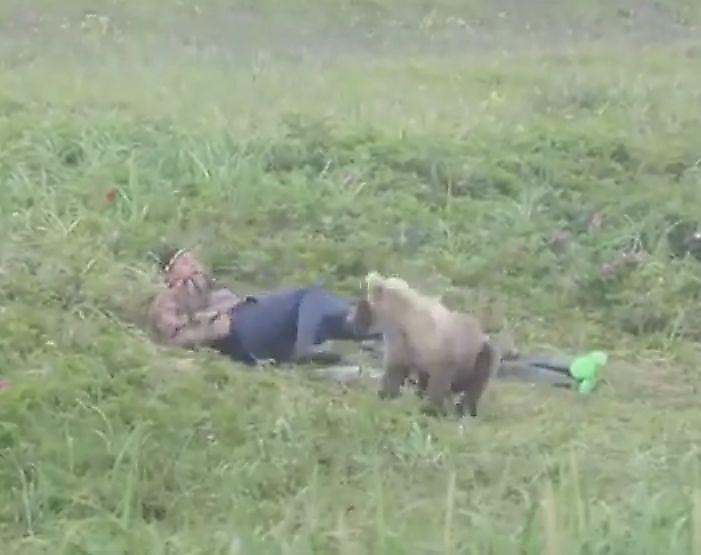 Любопытный медвежонок потревожил сон туристов на Камчатке ▶
