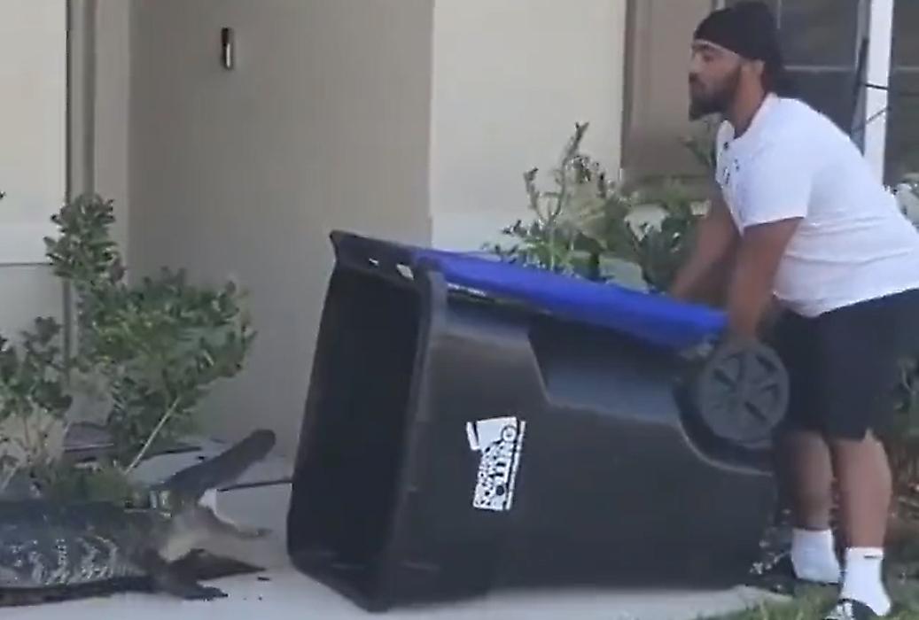 Ветеринар, используя мусорку поймал аллигатора и попал на видео в США