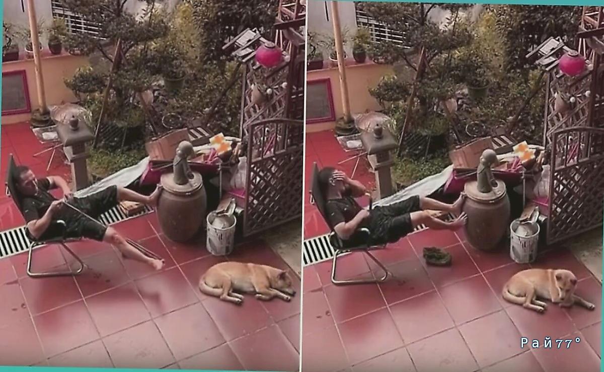 Видео с игрой в резинку в исполнении неудачливого хозяина пса бьёт рекорды просмотров в Азии Видео с игрой в резинку в исполнении неудачливого хозяина пса бьёт рекорды просмотров в Азии