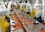 Раковое побоище произошло на китайской фабрике (Видео)