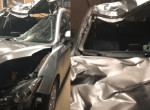 Чудовищные последствия столкновения автомобиля с лосем запечатлели в Канаде