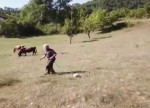 Пожилой пастух, первый раз увидевший беспилотник, прославился в турецких соцсетях (Видео)