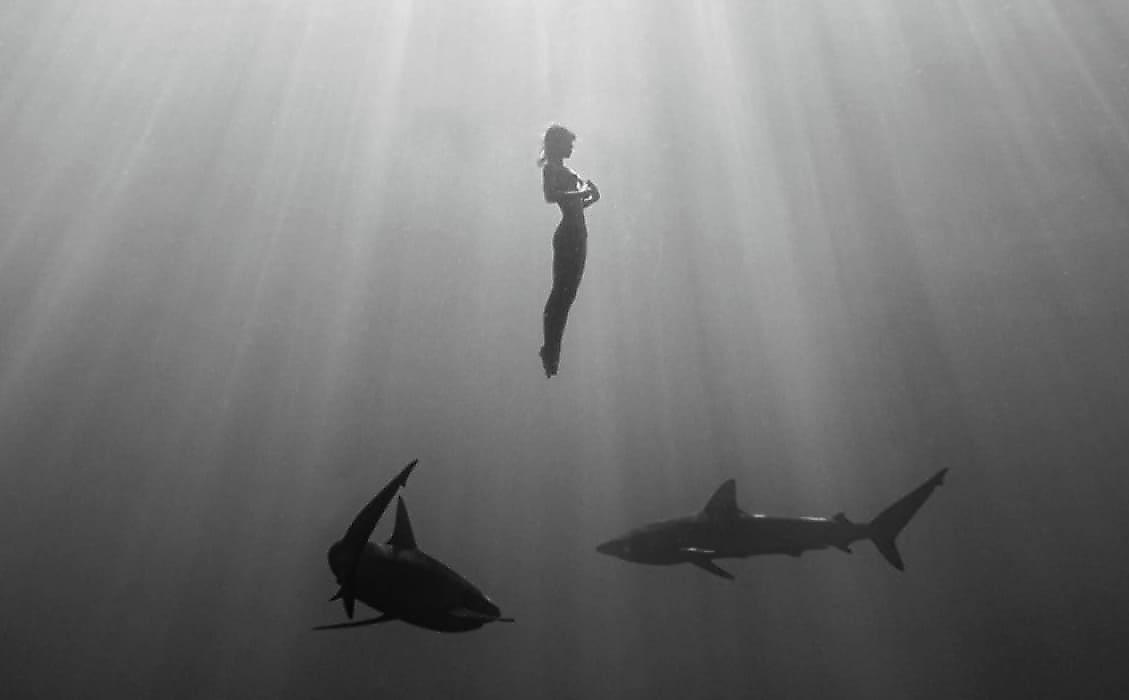 Скандально известная модель устроила голый дайвинг с акулами у побережья Гавайев