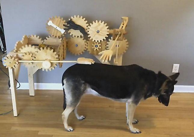 Любитель собак сконструировал автоматическую чесалку для своих питомцев ▶