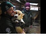 Зоозащитники освободили 200 собак, содержавшихся в ужасных условиях на ферме в Южной Корее ▶