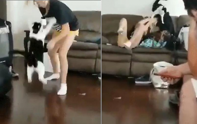 Кошка не оценила шутки и побила свою молодую хозяйку (Видео)