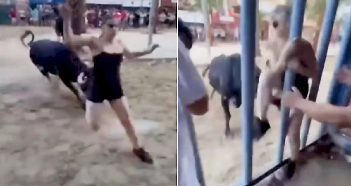 Девица еле спаслась от быка на корриде в Испании - видео