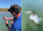 Крокодил клюнул на удочку австралийского рыбака и попытался лишить его наживки - видео