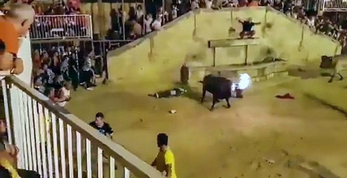 Бык поднял на рога зазевавшегося туриста во время шоу в Испании (Видео)
