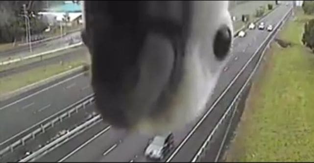 Любопытный какаду, заглянув в камеру, «передал привет» австралийским полицейским (Видео)