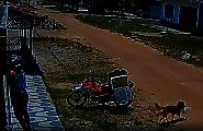 Хитрый пёс стащил обед у курьера и прославился в сети