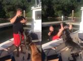 Собака, восприняв команду буквально, отправила своего хозяина за борт лодки. (Видео)