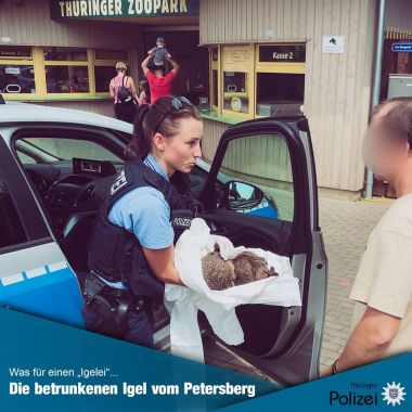 Двух ежей «перебравших» ликёра спасли полицейские в Германии
