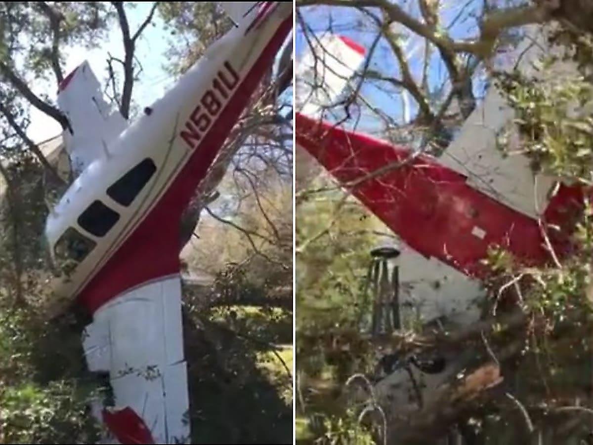 Двое американцев и собака пережили жёсткую посадку самолёта в кроне дерева