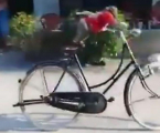 Обезьяна показала мастер-класс езды на велосипеде (Видео)