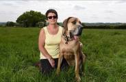 Настоящий Скуби-Ду: огромный пёс, который боится всего, проживает в Англии (Видео) 3
